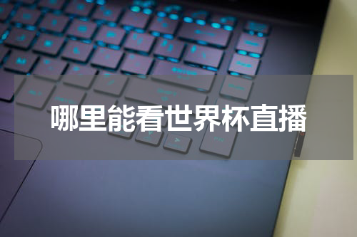 哪里能看世界杯直播