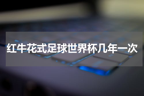红牛花式足球世界杯几年一次