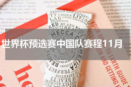 世界杯预选赛中国队赛程11月