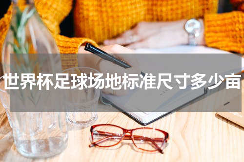 世界杯足球场地标准尺寸多少亩