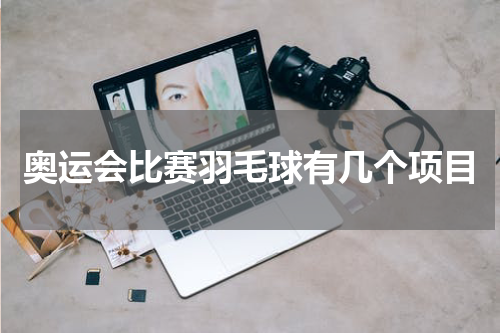 奥运会比赛羽毛球有几个项目