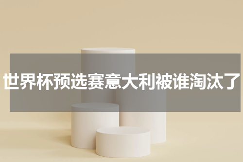 世界杯预选赛意大利被谁淘汰了