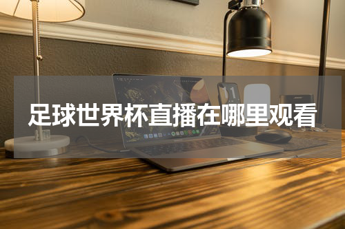 足球世界杯直播在哪里观看