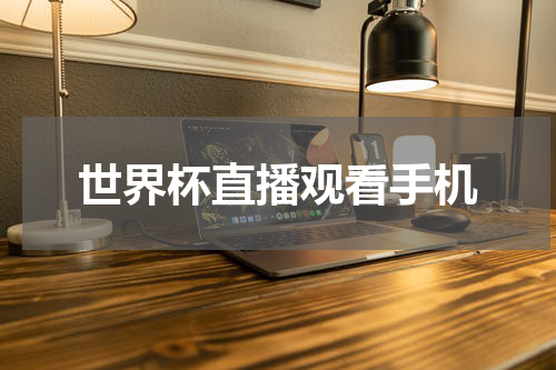 世界杯直播观看手机
