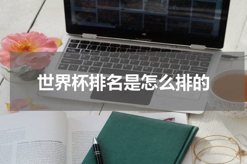 世界杯排名是怎么排的
