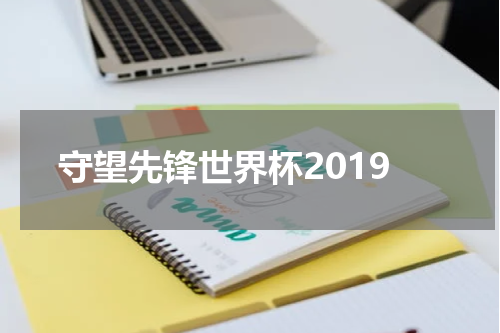 守望先锋世界杯2019