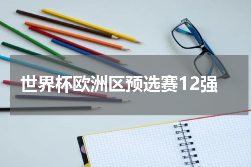 世界杯欧洲区预选赛12强