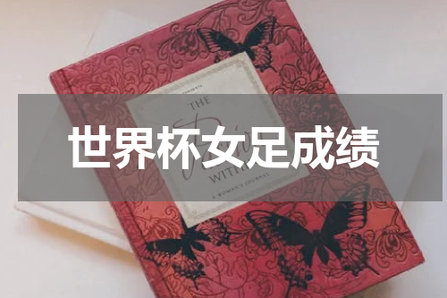 世界杯女足成绩