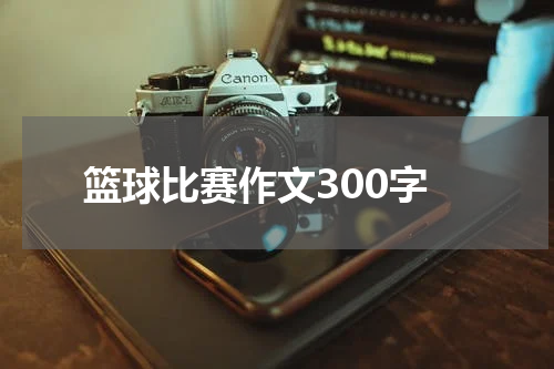 篮球比赛作文300字