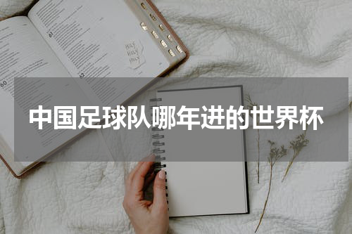 中国足球队哪年进的世界杯