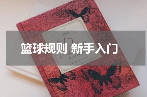 篮球规则 新手入门