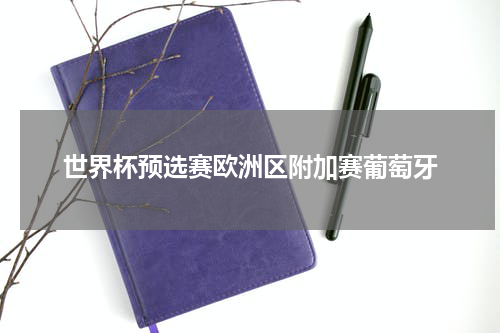 世界杯预选赛欧洲区附加赛葡萄牙