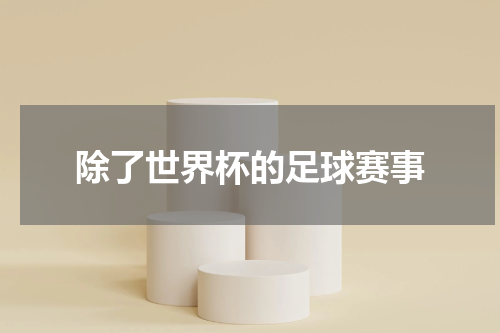 除了世界杯的足球赛事