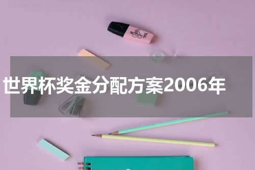 世界杯奖金分配方案2006年