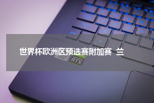 世界杯欧洲区预选赛附加赛  兰
