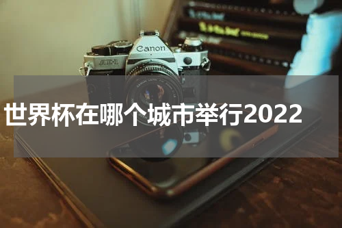 世界杯在哪个城市举行2022