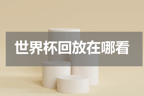 世界杯回放在哪看