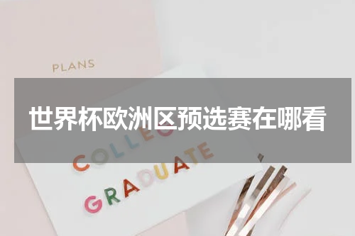 世界杯欧洲区预选赛在哪看