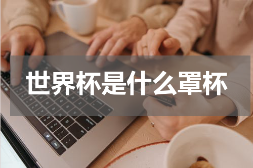 世界杯是什么罩杯