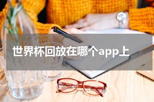 世界杯回放在哪个app上