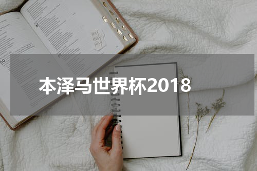 本泽马世界杯2018