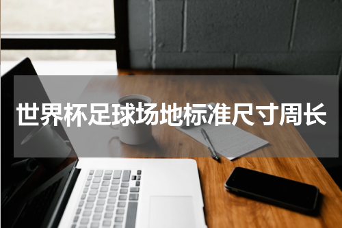 世界杯足球场地标准尺寸周长