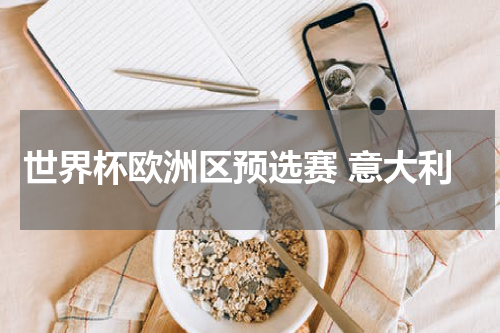 世界杯欧洲区预选赛 意大利