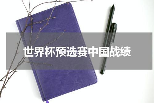 世界杯预选赛中国战绩