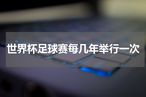 世界杯足球赛每几年举行一次