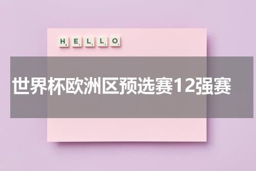 世界杯欧洲区预选赛12强赛