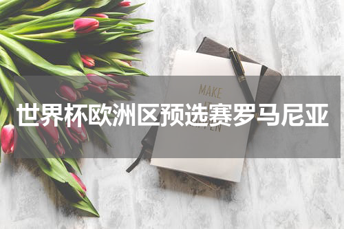 世界杯欧洲区预选赛罗马尼亚