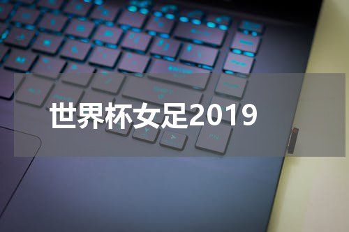 世界杯女足2019