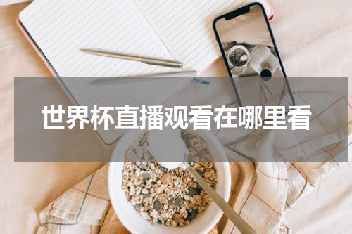 世界杯直播观看在哪里看