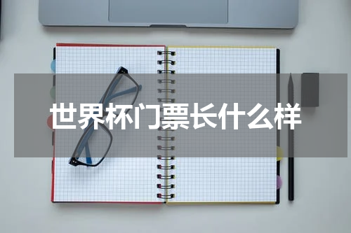 世界杯门票长什么样