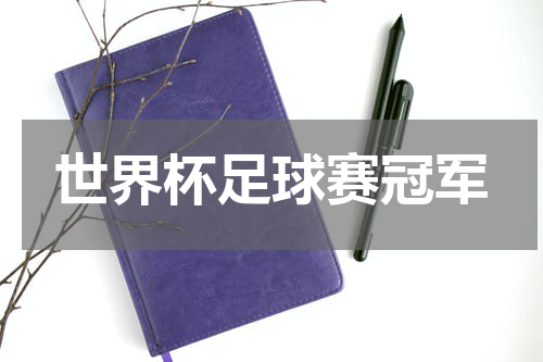 世界杯足球赛冠军
