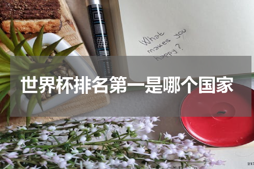世界杯排名第一是哪个国家
