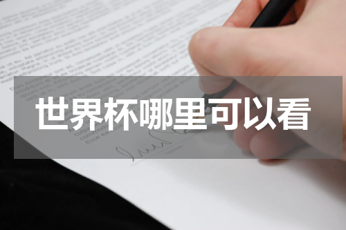 世界杯哪里可以看
