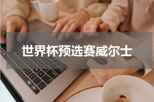 世界杯预选赛威尔士