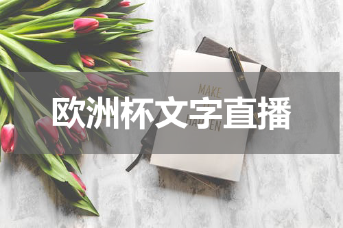 欧洲杯文字直播