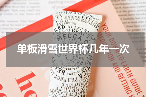 单板滑雪世界杯几年一次
