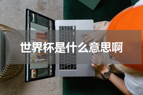 世界杯是什么意思啊