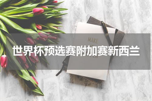 世界杯预选赛附加赛新西兰