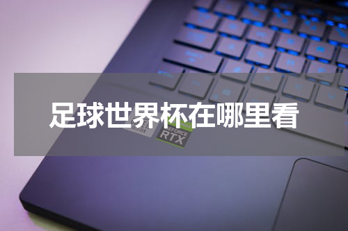 足球世界杯在哪里看