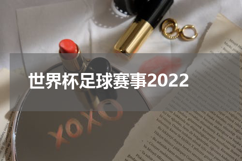 世界杯足球赛事2022