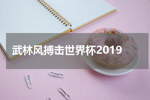 武林风搏击世界杯2019