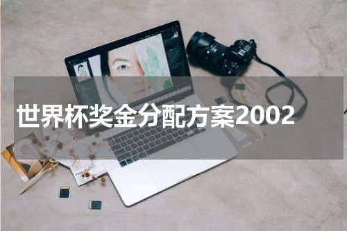 世界杯奖金分配方案2002