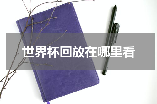 世界杯回放在哪里看