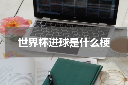 世界杯进球是什么梗