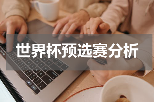 世界杯预选赛分析