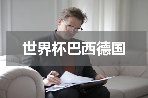 世界杯巴西德国